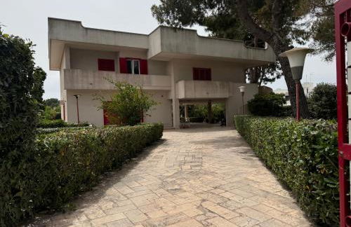 WalMarhouse - Foto 20