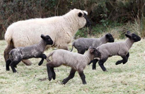 2 Bed in West Hill oc-b33966 - Foto 12