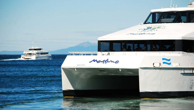 Pingüinera de isla Martillo + Paseo en barco por el canal Beagle - Foto 2