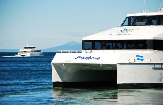 Pingüinera de isla Martillo + Paseo en barco por el canal Beagle - Foto 2