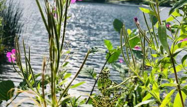 Ferienwohung Auszeit am Eifelsteig - Photo 2