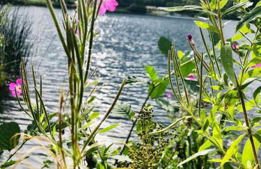 Ferienwohung Auszeit am Eifelsteig - Foto 2