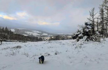 Modernes Rhombushaus im Naturparadies Sauerland - Foto 10