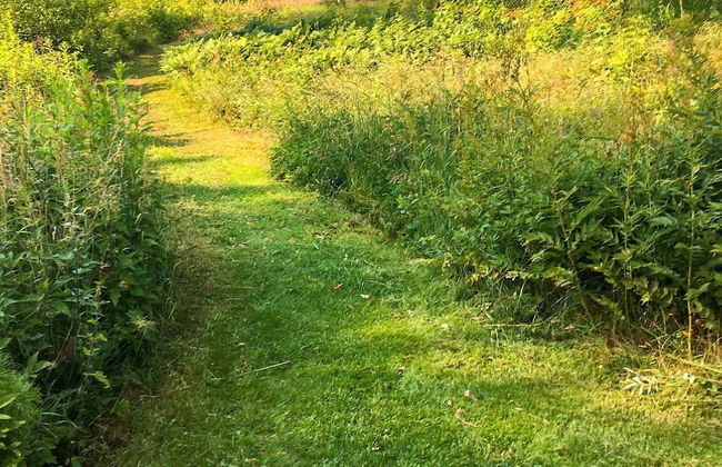 4 Star Holiday Home in Malmkoping-by Traum - Foto 23