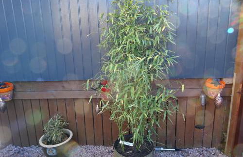 'Le Studio' - Photo 60