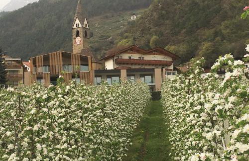 Panorama Residence Öhlerhof - Foto 5