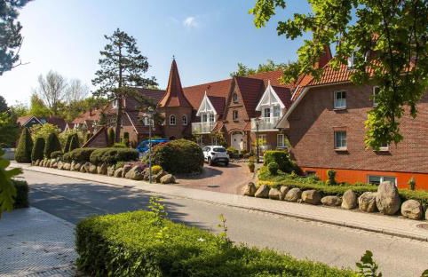 Nachtkerze - Foto 13