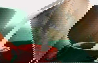 Pulque Tasting - Photo 2