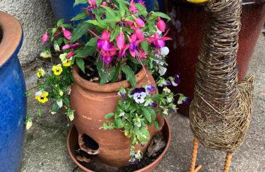 Midkinleith Farm Holiday Cottage - Foto 21