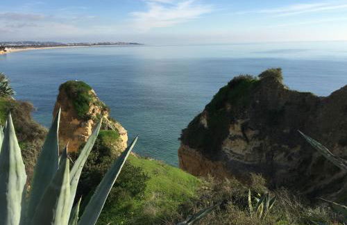 T3 Holiday Cottage near the beach | B111 - Foto 14