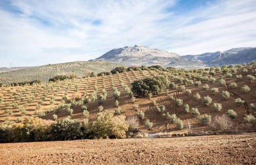 Cortijo Borreguero - Photo 27