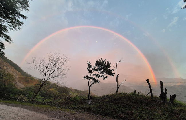 Glampling Nubes de Monteverde - Foto 73