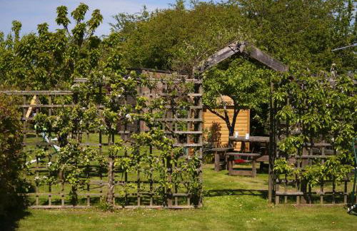 The Apple Store - Photo 33