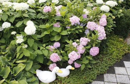 Ferienwohnung Waltraud - Foto 15