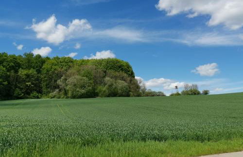 Ferienwohnung Schöne Aussicht Reelsen - Foto 18