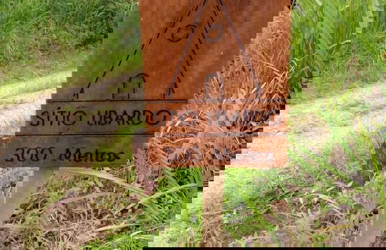 Sitio Libardo - Nova Trento - SC - Foto 75