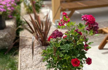 Holiday house Ivan 2 with heated pool - Photo 1