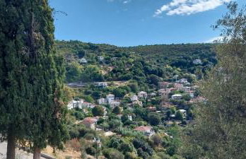 Panorama Studio Afetes - Photo 65