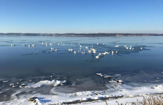 Sea View Apartment in Glücksburg with Balcony near Sea Beach - Photo 30