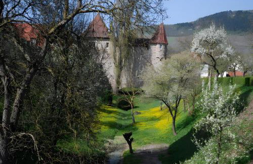 Weingut Ilmbacher Hof - Foto 63