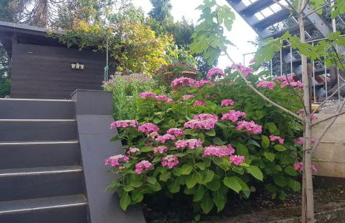 City Appartement Cologne North - Photo 18