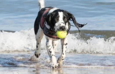 Cosy Little Home By The Sea - Foto 60