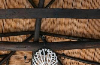 PositiveSpace Olive Tree - Foto 47