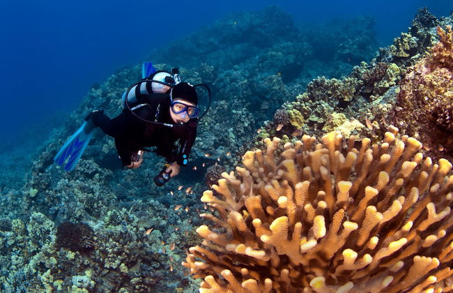 Maalaea Banyans 203 - Foto 11