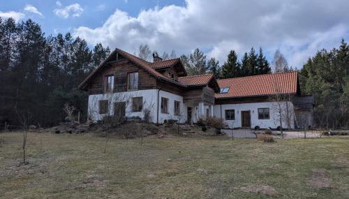 Forreset - leśny reset - Foto 3