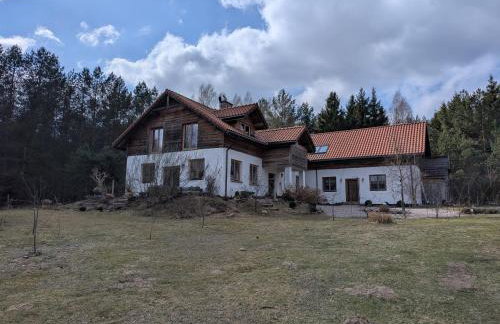 Forreset - leśny reset - Foto 3