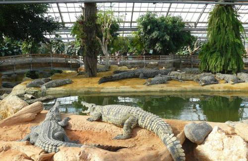 Villa provençale et familiale - Foto 14