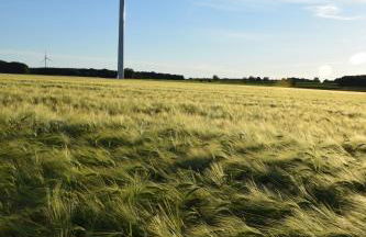 Gîte de Bena - Foto 22