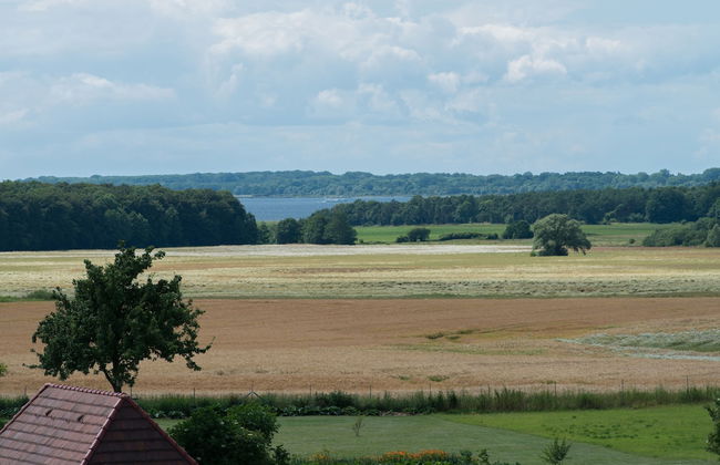 Ostsee-Landhaus - Foto 60