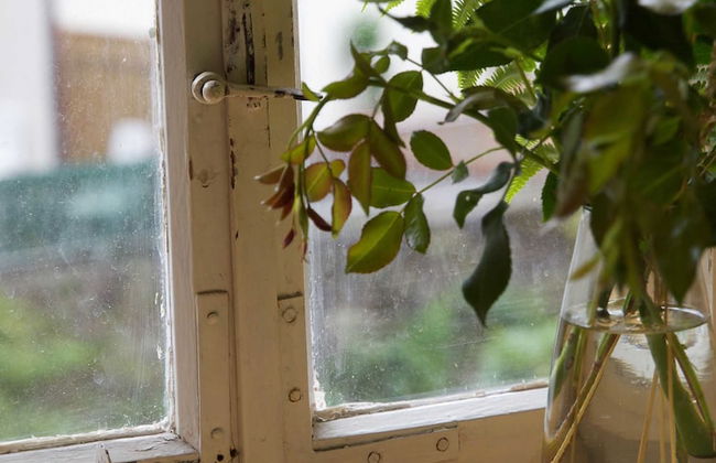 Historisches Gerberhaus - Foto 17