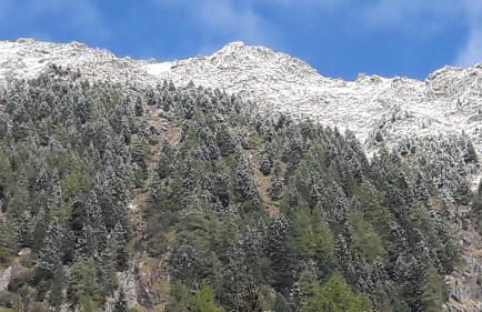 Appartments Hopfgartner Eurospar - Photo 49