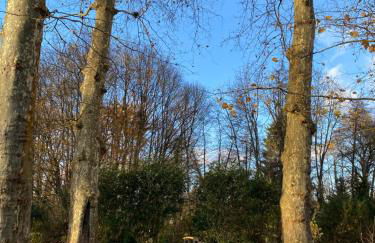 Château, poteries, vins et randonnées 2 - Foto 21