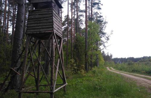 Dom Wakacyjny - Zakątek Marzenie - Foto 57