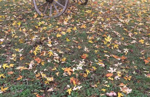 Le Ghiande - Foto 74