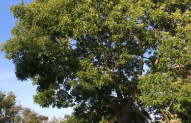 Boddenhaus Darss - Foto 37