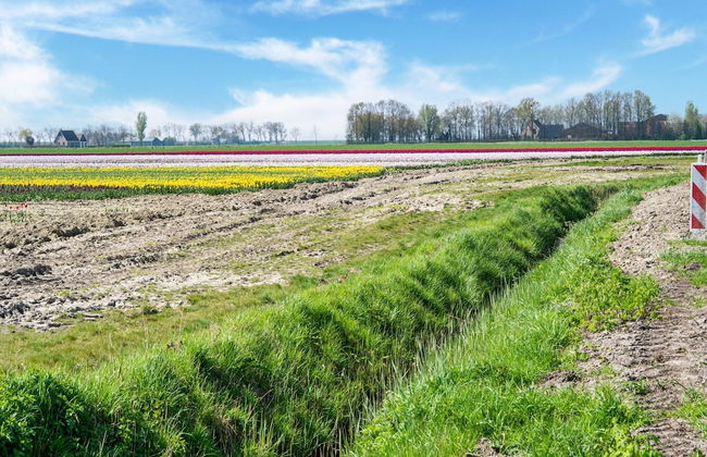 Holiday Home in Scherpenisse Near the Sea - Photo 29