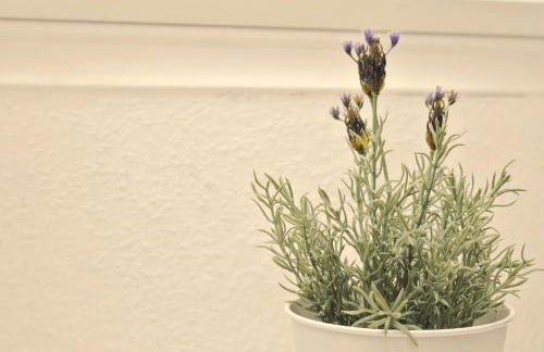 Nordseeblick - Foto 8