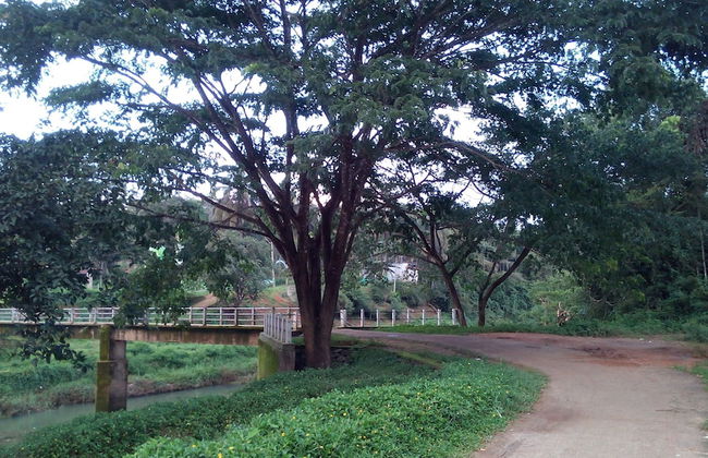 Family Villa is a hut Style Accommodation - Foto 1