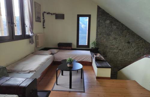 Cal Brugués - Casa de montanya - Foto 37