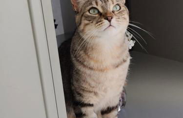 Villa Angelina La Baule - Photo 21