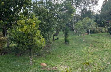 Recanto Paraíso - Foto 13