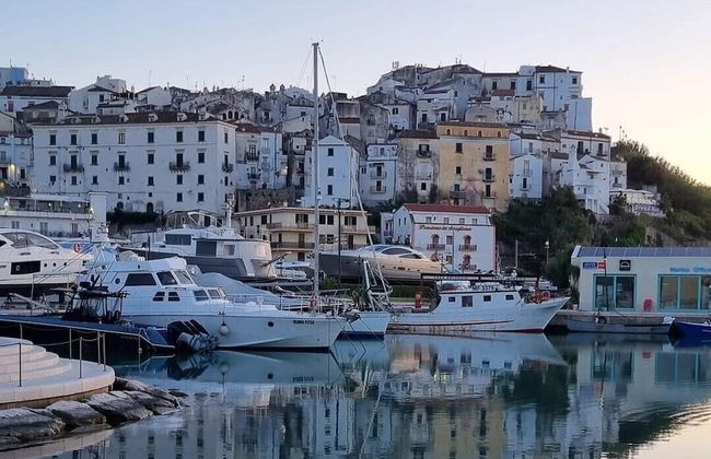 Joivy Dimore Rodiane - U Vucc'l - Foto 16