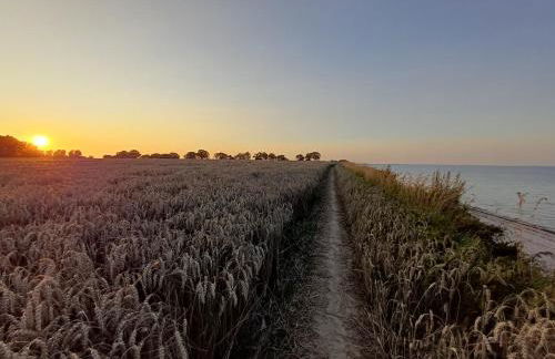 Landhaus Timm - Ferienhaus an der Ostsee - Foto 39