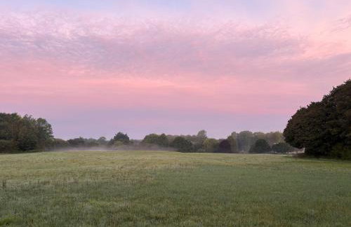 Little Vine Cottage in the grounds of Leeds Castle - Foto 18