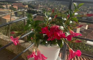 CRYSAS HOME - Foto 40