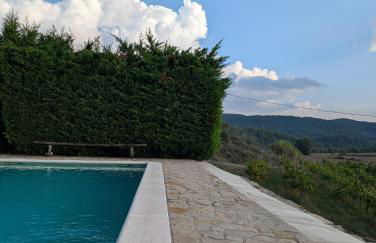 Celler Colltor - Foto 22